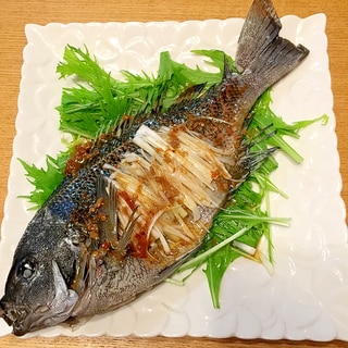 メジナレシピ 作り方の人気順 簡単料理の楽天レシピ メジナレシピ 作り方の人気順 簡単料理の楽天レシピ